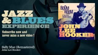 John Lee Hooker - Sally Mae - Remastered