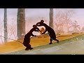 THE RAT Great Book Of Nature Full Episode 12 English