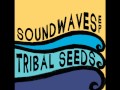 Tribal Seeds - I'll Return Again 