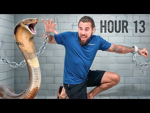 I Spent 24 Hours Trapped With Deadly Venomous Snakes…