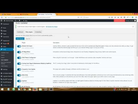 Automatically Update Wordpress Theme and Plugins Video 2