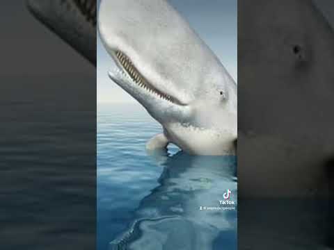 paling-gabisa-kalo-soal-muntahan-pausfypambergrishadinfirdaus