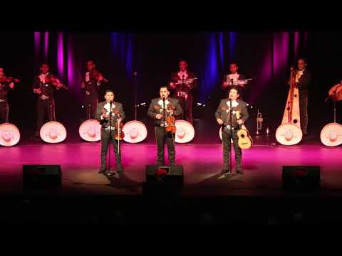 Flor Silvestre - Mariachi Los Camperos