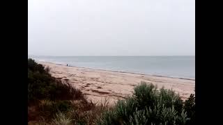 VID 20260824 113427 hendley beach and bushes panorama