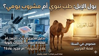 بول الإبل : هل يستحق هذا الجدل حوله ؟