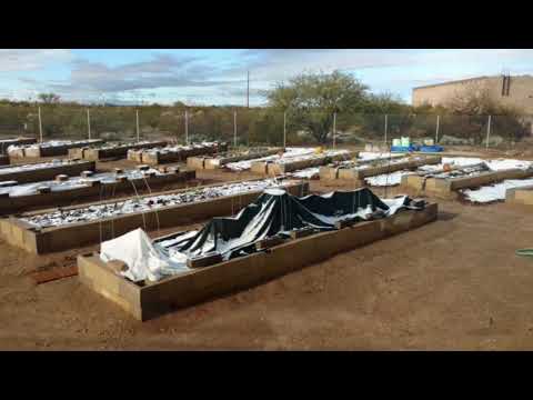 Snow in the "Ace Acre" Rita Ranch Community Garden!