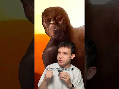 Bizi Maymundan Ayıran Şey