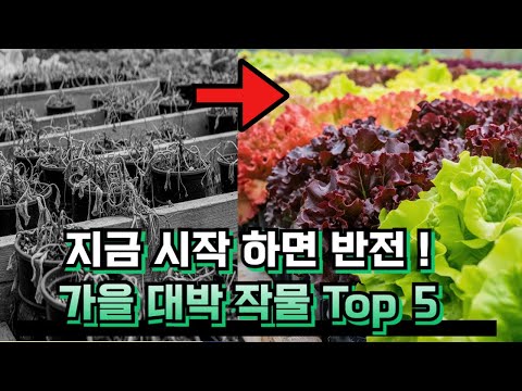 (귀농스쿨)지금 시작하면 반전! 가을 대박 작물 Top5