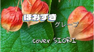 ほおずき（さだまさし♬）ギター弾き語りcover SIORI