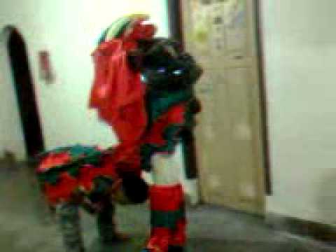 barongsai hok say hwei junior - bogor jawa barat