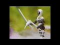 G I Joe Ninja Force Reklama Z Kasety Vhs Polish Commercial