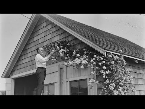 Roll 'em girls Jack Shilkret Orchestra and Billy Murray 1925