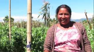 Travel Deeper - Guatemala