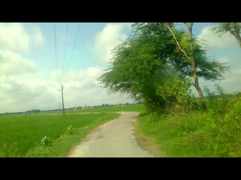 🎇🏡🌨️Sohani village Field mansoon🌧️🌨️🏞️🌳 video Thanagaddi💕💖