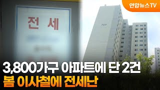 3,800가구 아파트에 단 2건…봄 이사철에 전세난 / 연합뉴스TV (YonhapnewsTV)