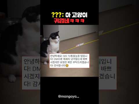 집사가 잡아먹힌 건가요?