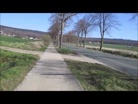 Wanderung durch Osterwald ein Flecken  Salzhemmendorf in Landkreis Hameln - Pyrmont