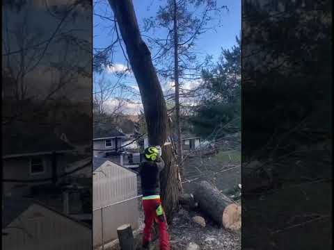 This one had me nervous with the wind