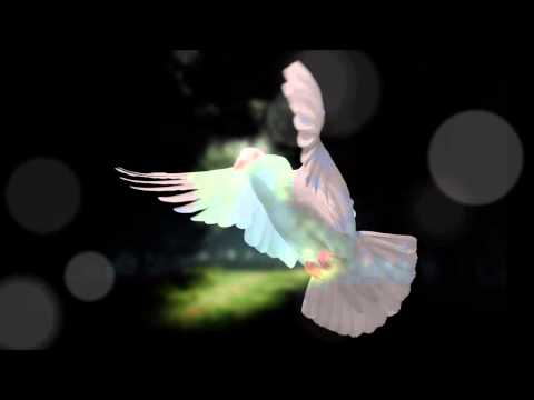 Alternative Control vs Eli - Magical Papudos