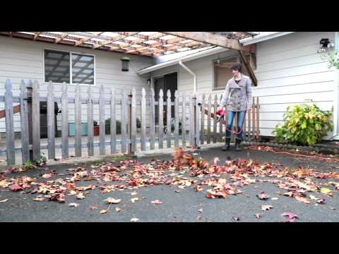 Performance Tool | W50063 Shop Blower