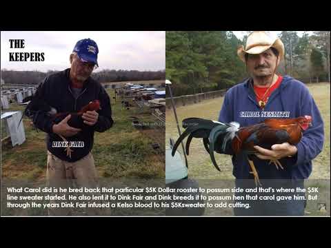 5k sweater, possum sweater, One of my favorite Bloodline #engrikeng #backyardbreeder