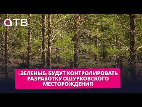 Реликтового леса нет. «Зеленые» будут контролировать разработку Ошурковского месторождения