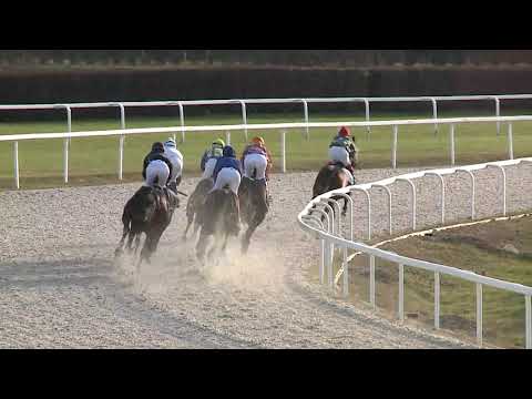 2020.12.06. 07. futam - AMIGO STAR HENDIKEP (V/b.) (szintetikus pálya)