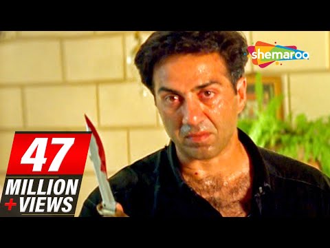 Sunny Deol scenes From Salaakhen (1998) - Raveena Tandon - Anupam Kher - Hit Hindi Movie