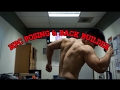BACK BUILDER / NPC POSING | KEY TIPS N TRICKS Ep. 02