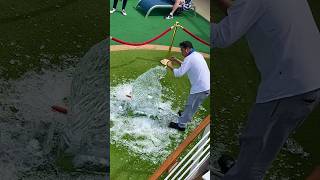 Cruise Ship Ice Carving! #travel #cruise #solotravel #cruiseship #princess #cruiser