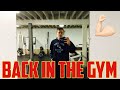 BACK IN THE GYM!|Chest and Triceps