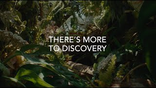 There's More to Discovery | Banyan Group