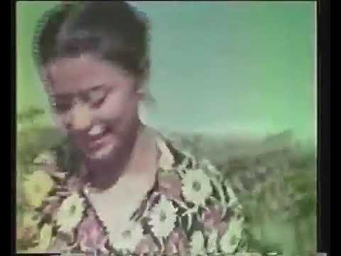 COMPUTER DATA - traumfolge