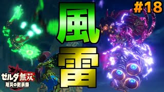 疾風迅雷の戦い！打ち倒せカースガノン！【ゼルダ無双厄災の黙示録】