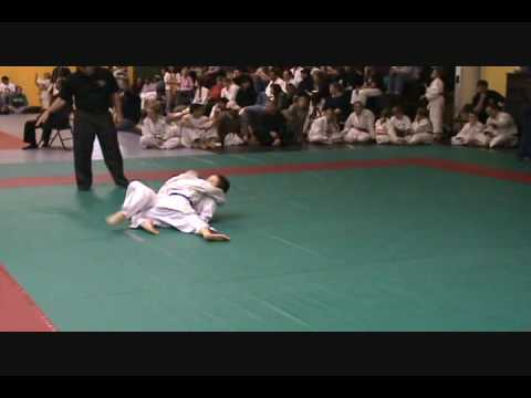 Will's judo 2008