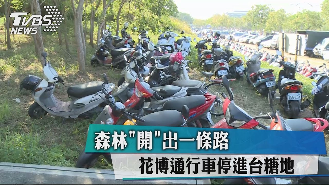 森林「開」出一條路 花博通行車停進台糖地
