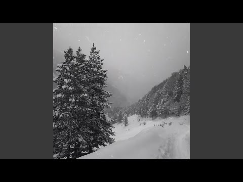 How memories form and how we lose them