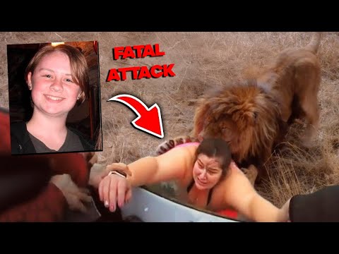 16 Animal Attacks on Humans Caught On Camera