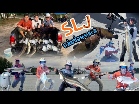 SLJ JIGGING @ทับละมุพังงา ถล่มช่อนทะเล 10kg.++ ปลดล็อคช่อนทะเล