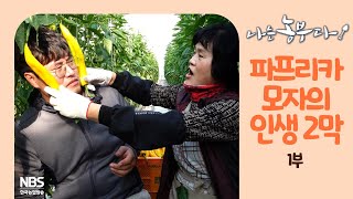 [나는농부다 233회 1부] 파프리카 모자의 인생 2막