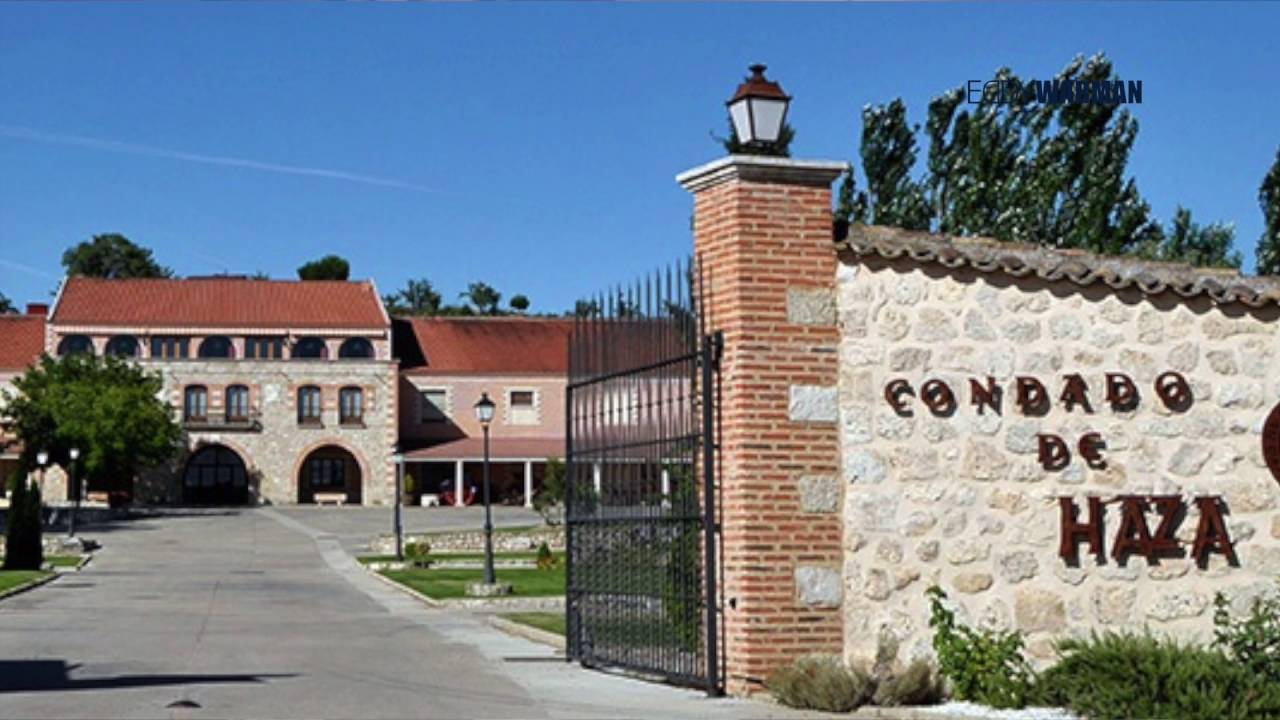 Watch Vino Probe el vino Condado de Haza en el mejor restaurante de Yucatan: Hacienda Teya Now Vino Probe el vino Condado de Haza en el mejor restaurante de Yucatan: Hacienda Teya