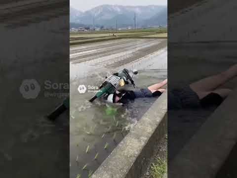 女子高生がスーパーカブで田んぼに転倒する