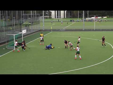 Samenvatting DSHC D1-Warande D1