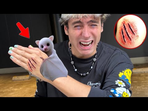 IF YOU SEE THIS ANIMAL, RUN AND CALL FOR HELP!! 😰 *anto was bitten*