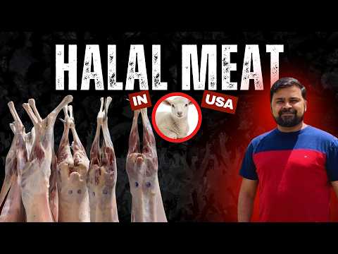 Inside the Halal Meat Industry of USA | From Slaughterhouse to Stores