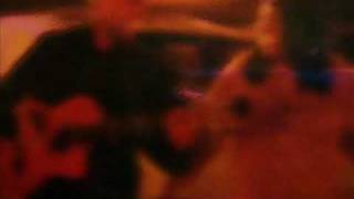 IMPECÁVEL (um poema)   --  GILBERTO GIL