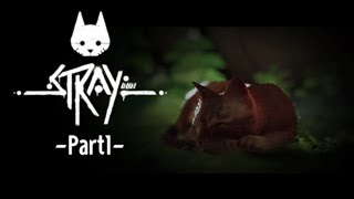 【Stray】かわいい猫ちゃんに限界化してるアラサー【part1】