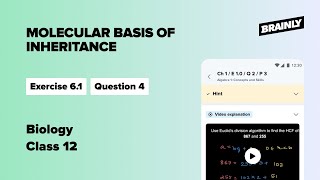 If the sequence of the coding strand in a transcription unit is .., Class 12, Biology, Ex. 6.1, Q.4