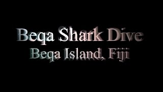 preview picture of video 'Beqa Shark Dive'