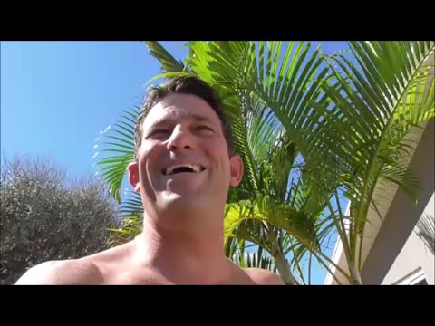 image-Can palm trees be in full sun?